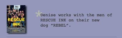Rescue Dogs